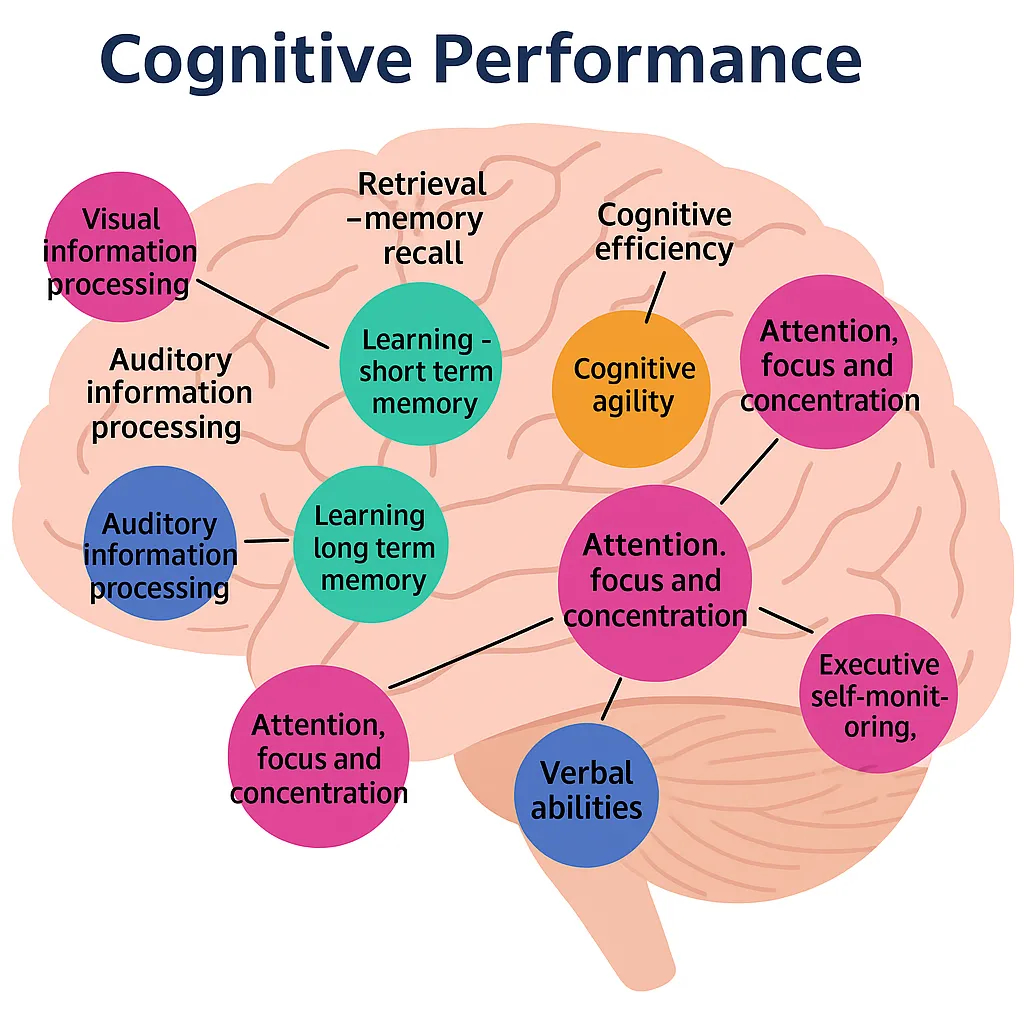 Diagram of Cognitive Performance by Brain Regions