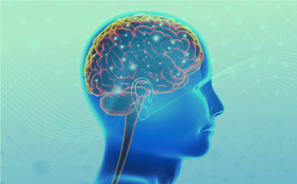 Illustrated head on Nootropic-Brain-Cognative-Enhancement-Formula