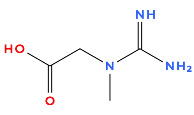 Molecular Structure of Creatine (neutral)